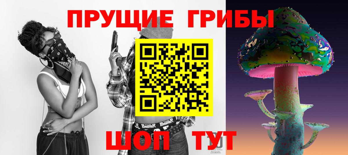 Галлюциногенные грибы Cubensis Карачаевск