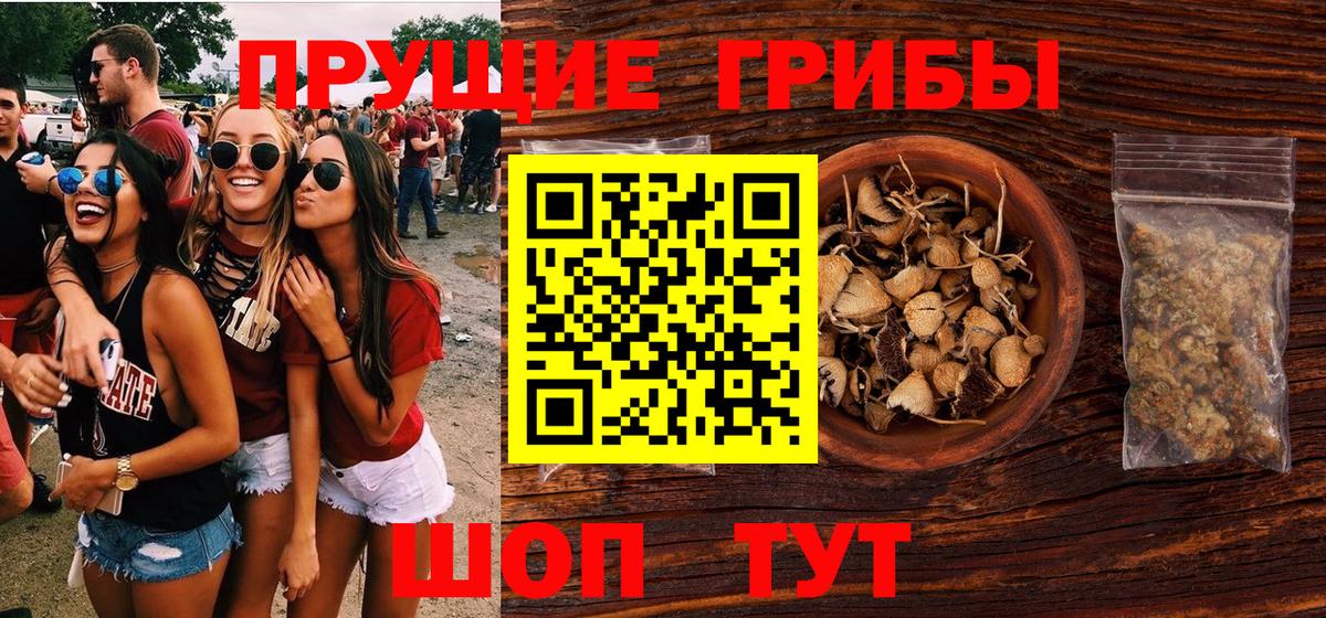 Карачаевск  Псилоцибиновые грибы GOLDEN TEACHER  Вход с VPN 