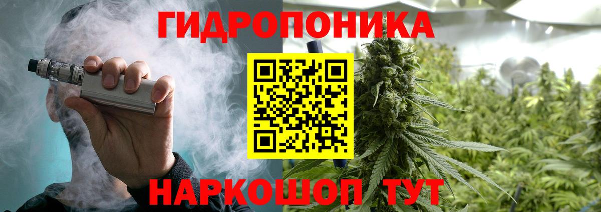 Бошки Шишки марихуана Карачаевск